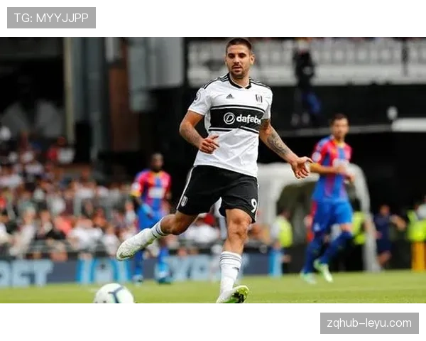 米特罗维奇有望开启职业生涯新征程